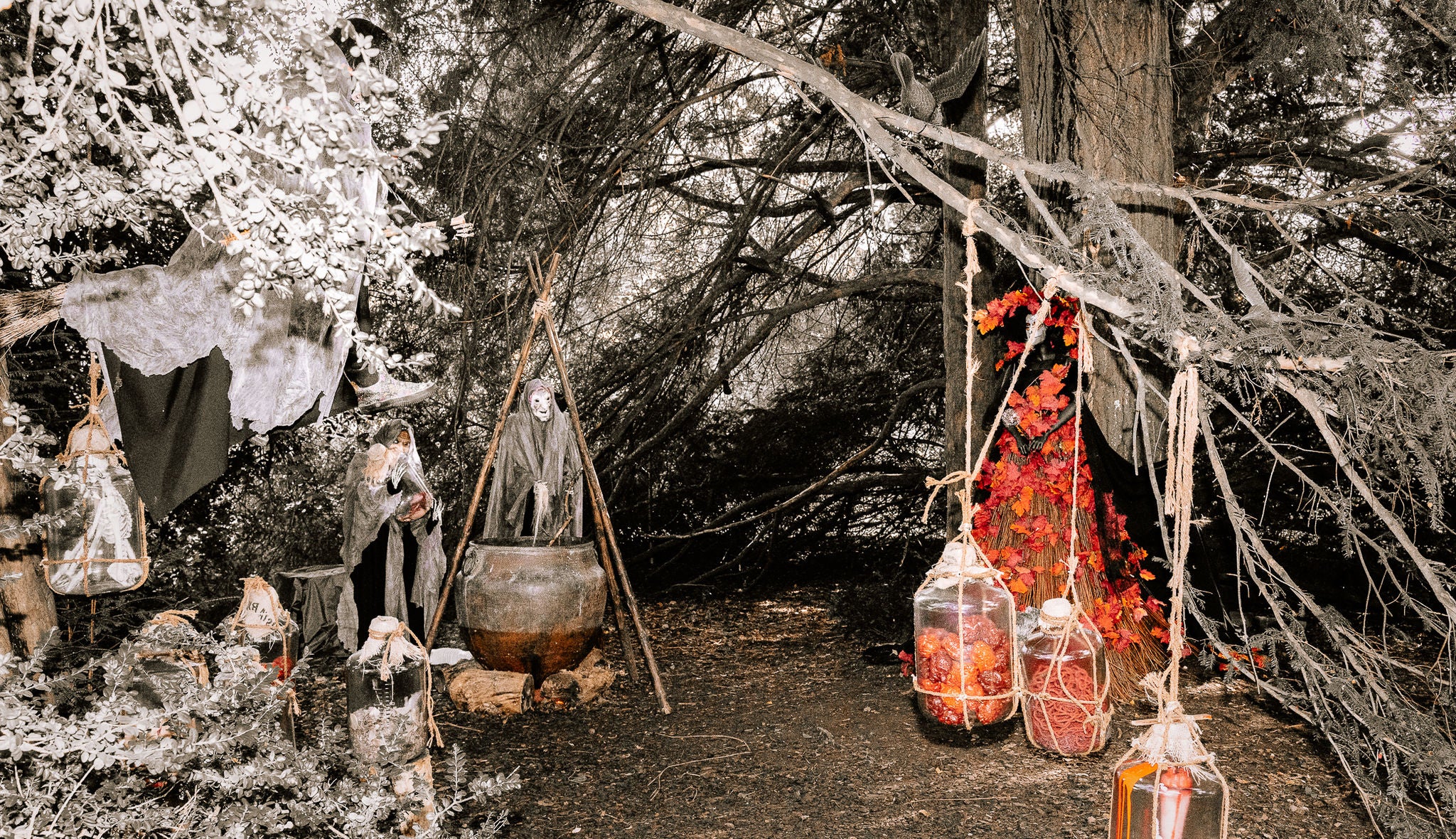 Le rituel des sorcières