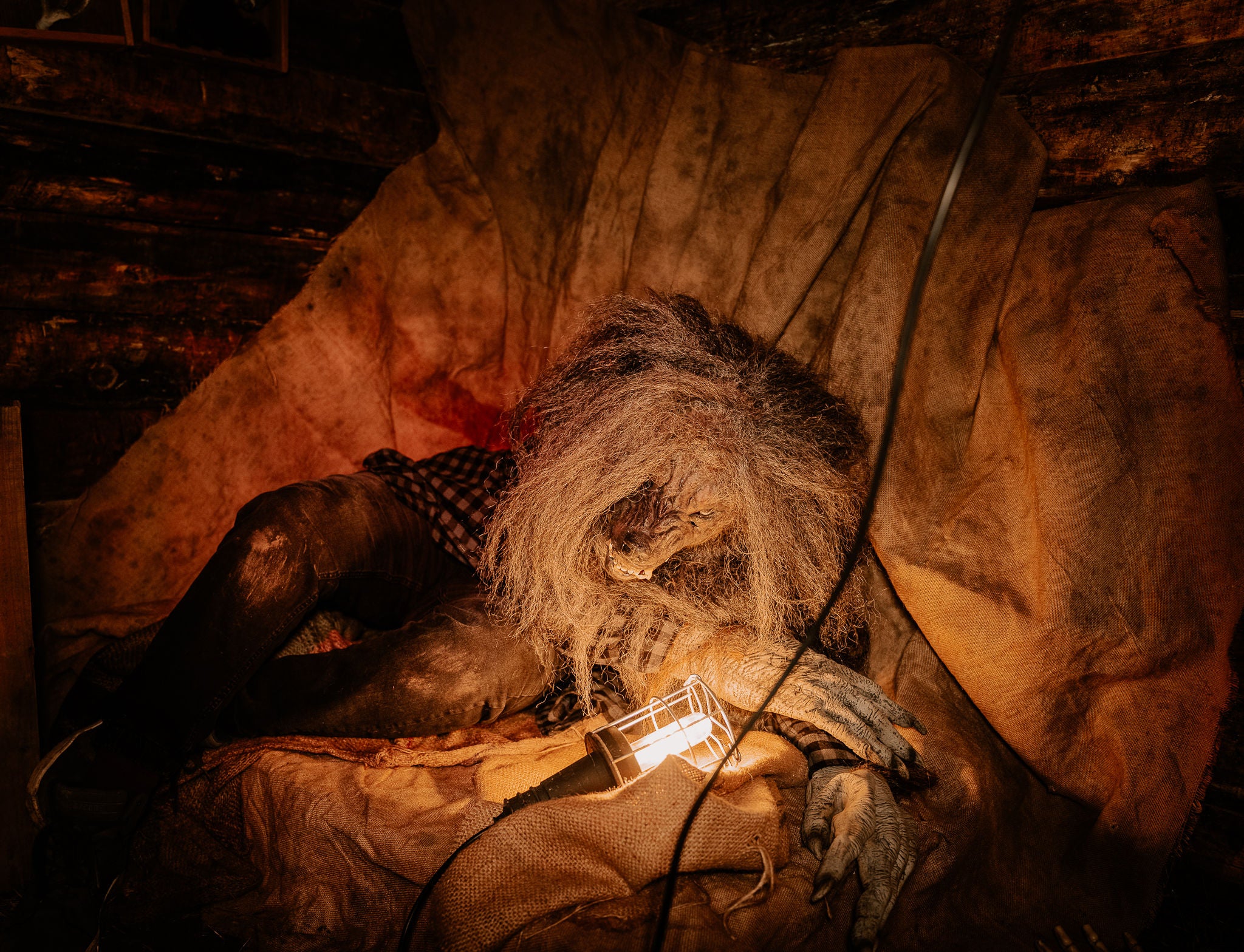 Loup-garou dans sa mine 2