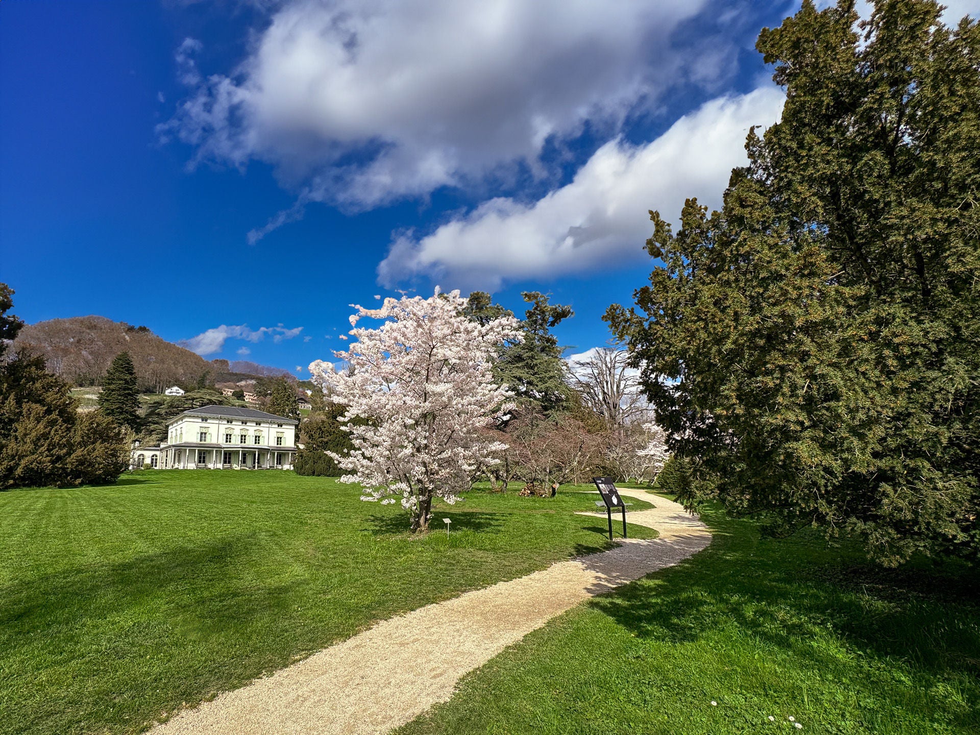 Parc, Manoir et cerisier
