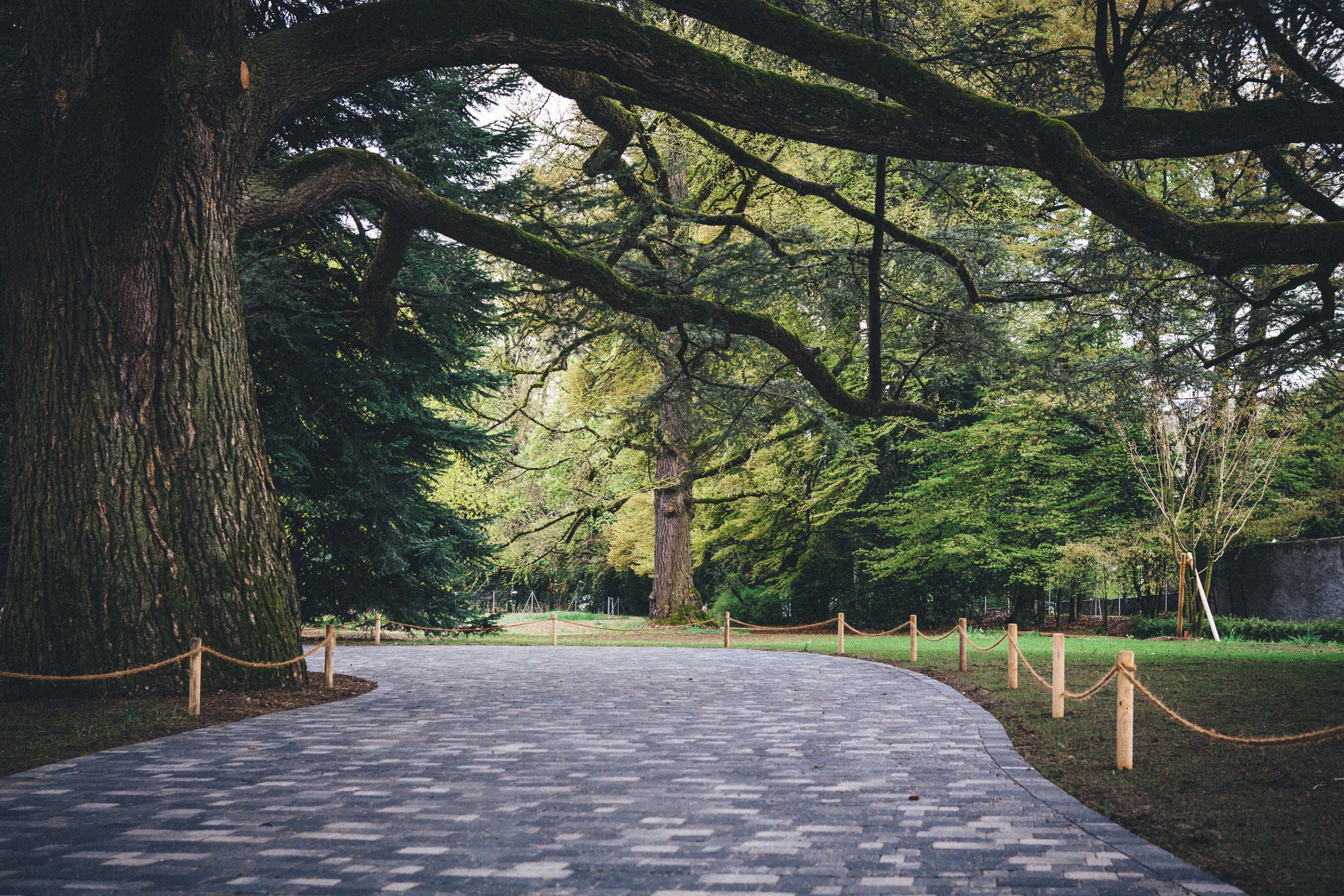 Le parc devant le manoir