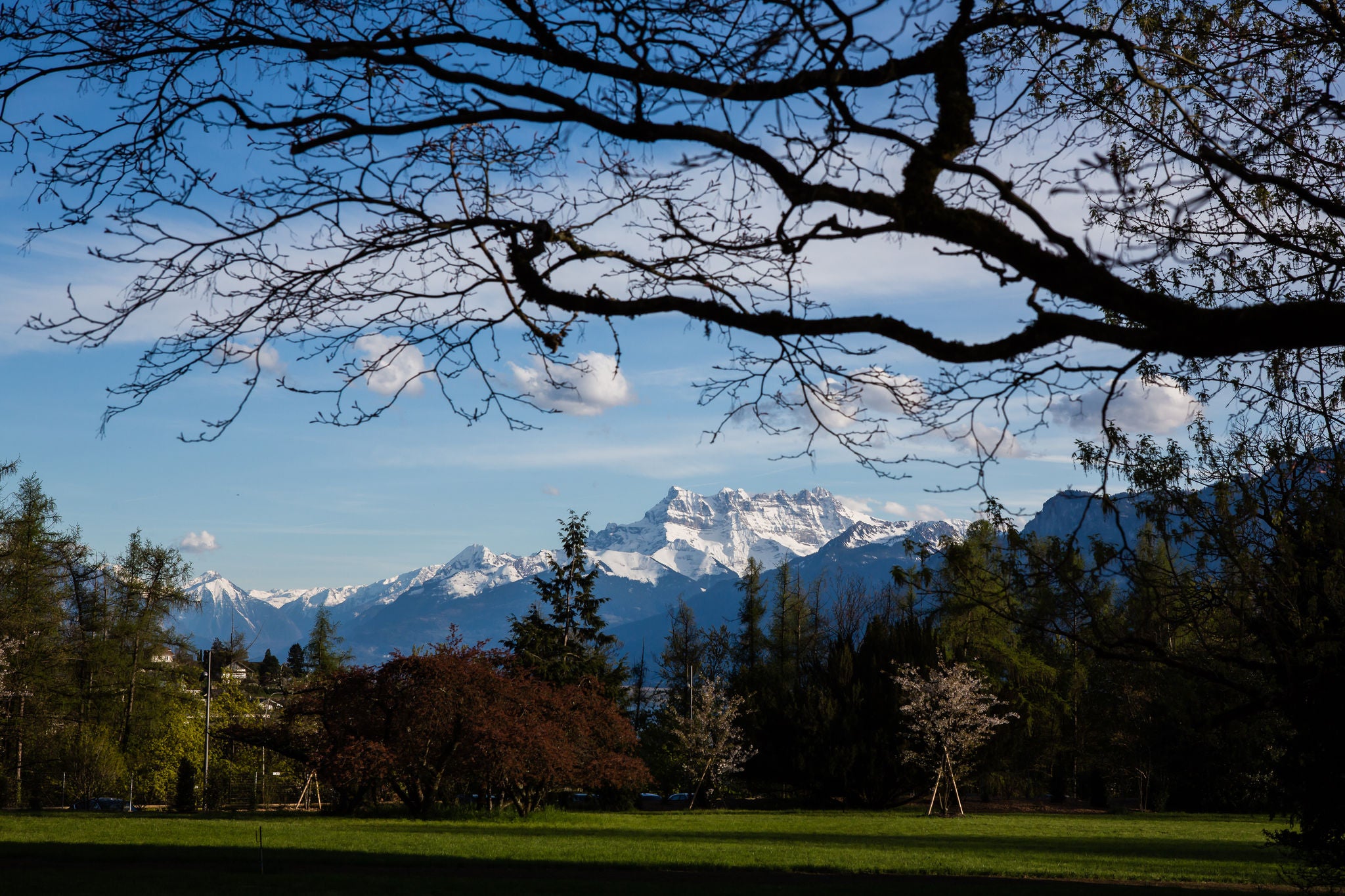 Vue sur les montagnes