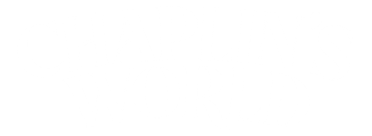 Chaplins World logo